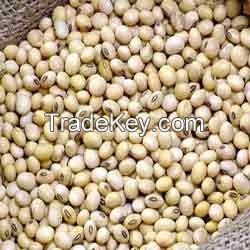 %100 QUALITY SOYBEANS / SOYBEANS SEEDS / SOYBEANS FOR SALE