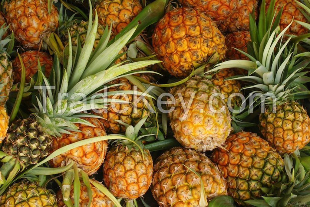 Fresh Sweet Pineapples