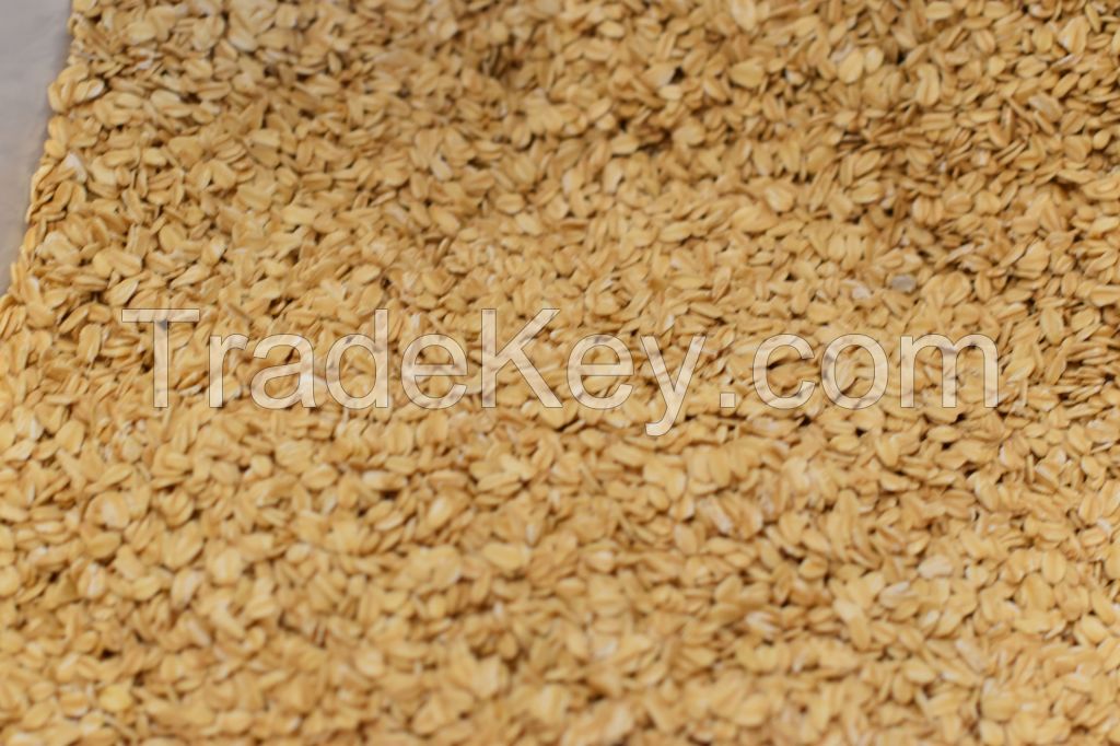 Oats High Quality