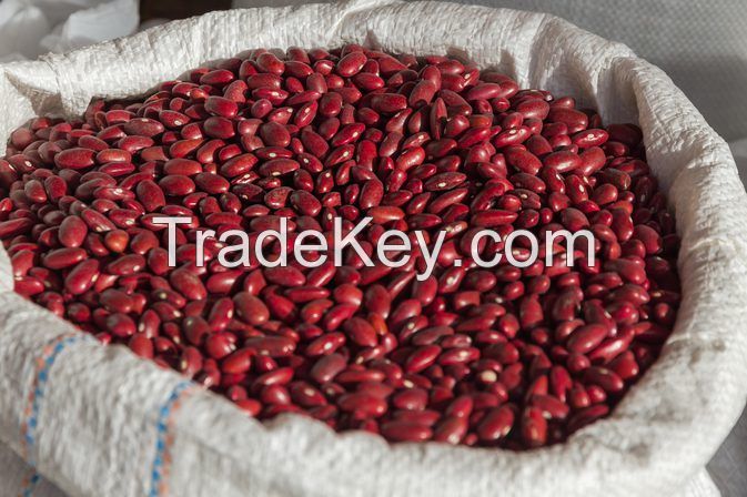 RED KIDNEY BEANS and  BLACK KIDNEY BEANS