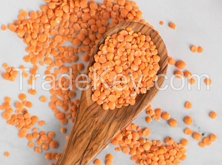 RED LENTIL