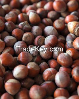 ROASTED HAZELNUTS FOR SALE - BUY 100% HAZELNUTS