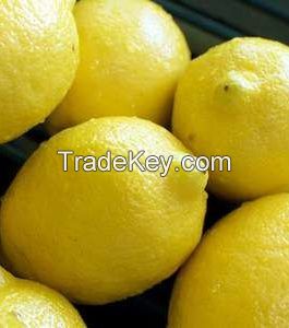 FRESH QUALITY GRADE A LEMONS