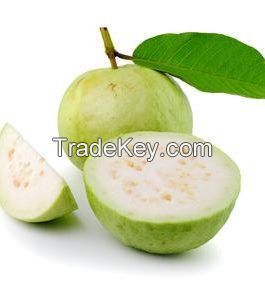 Fresh Guava