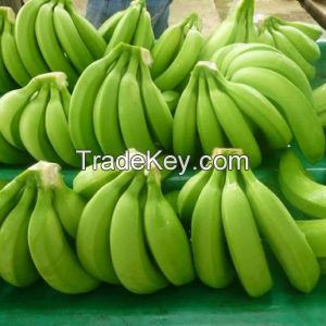 Bananas- Fresh Bananas