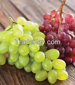 Fresh Juicy Grapes-Fruits