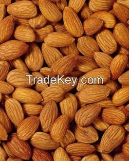 Premiuim Quality Almond Nuts