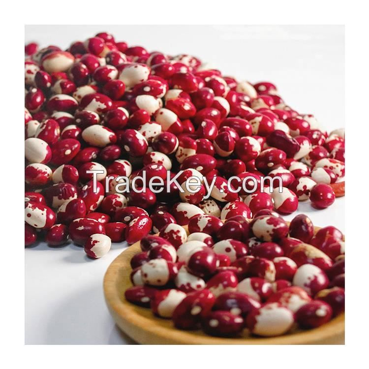 High Quality Colour Sorting Dehydration Kidney Bean