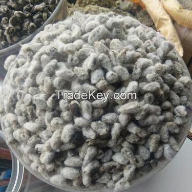 Cottonseed Cake Cottonseed Meal / Cotton seed Cake for animal feed/Cotton Seed Hull Cotton Seed Cake Animal Feed