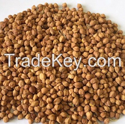 Grade A Desi Chickpeas and kabuli Chickpeas For Sale