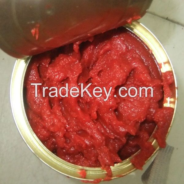 High quality canned tomato paste hot sale