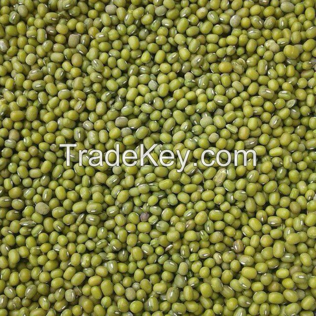 Bulk Green And Red Quality Lentils for sale