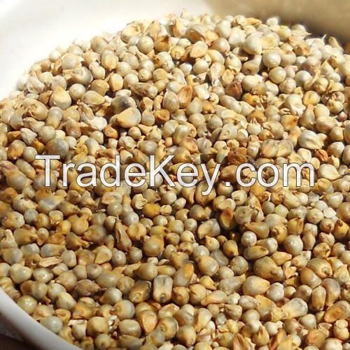 super quality pearl millet for sale
