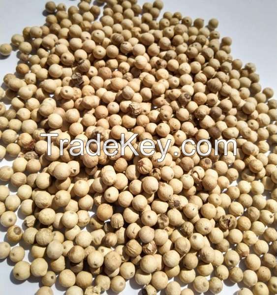 Muntok White Pepper Grade B (ASTA)