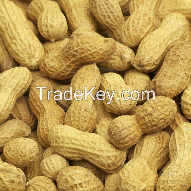 Peanuts