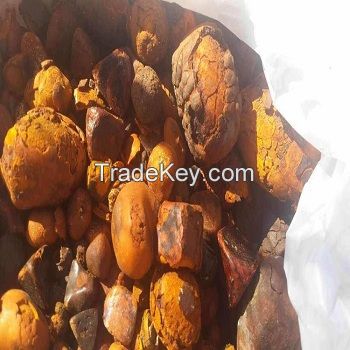 Ox Gallstones Cattle Gallstones Cow Gallstones Wholesale