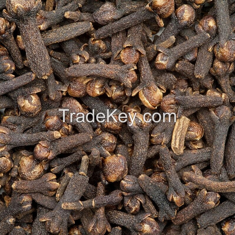 Best Cheap Prices of Dried Cloves