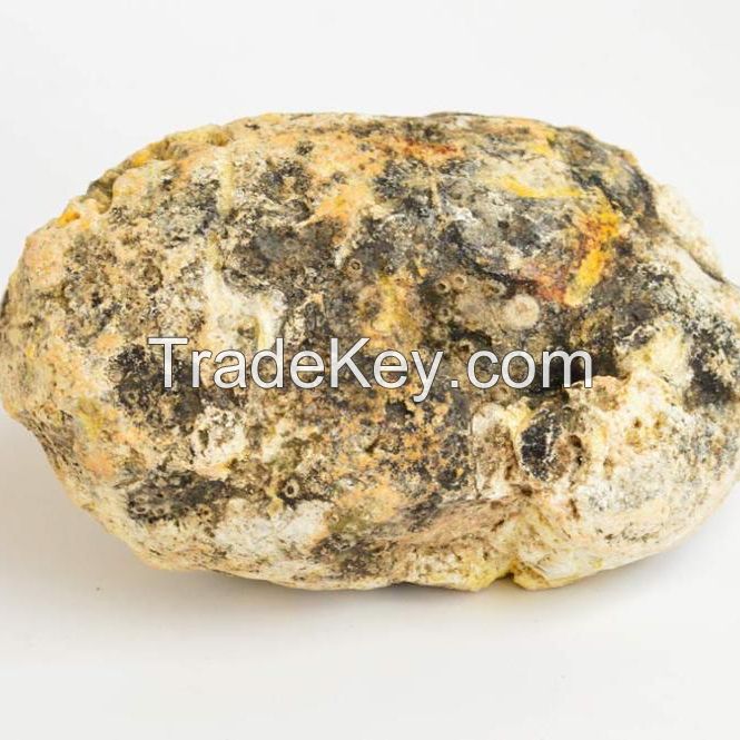 Whale ambergris for sale
