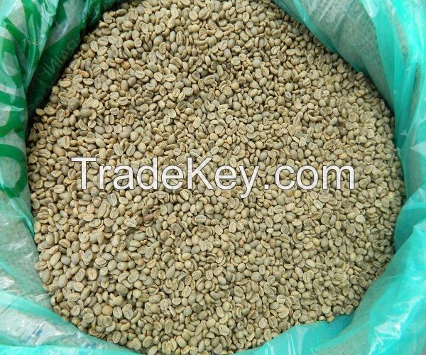 TOP GRADE Arabic Coffee Beans/ Robusta Coffee Beans/Green Coffee Beans