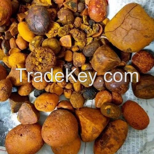 We offer Cow Gall Stones / Ox Gallstones for Sale
