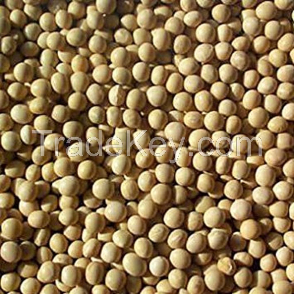 Best quality Dried Soy Beans for sale