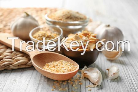 Egyptian Dried Garlic Wholesale supplier