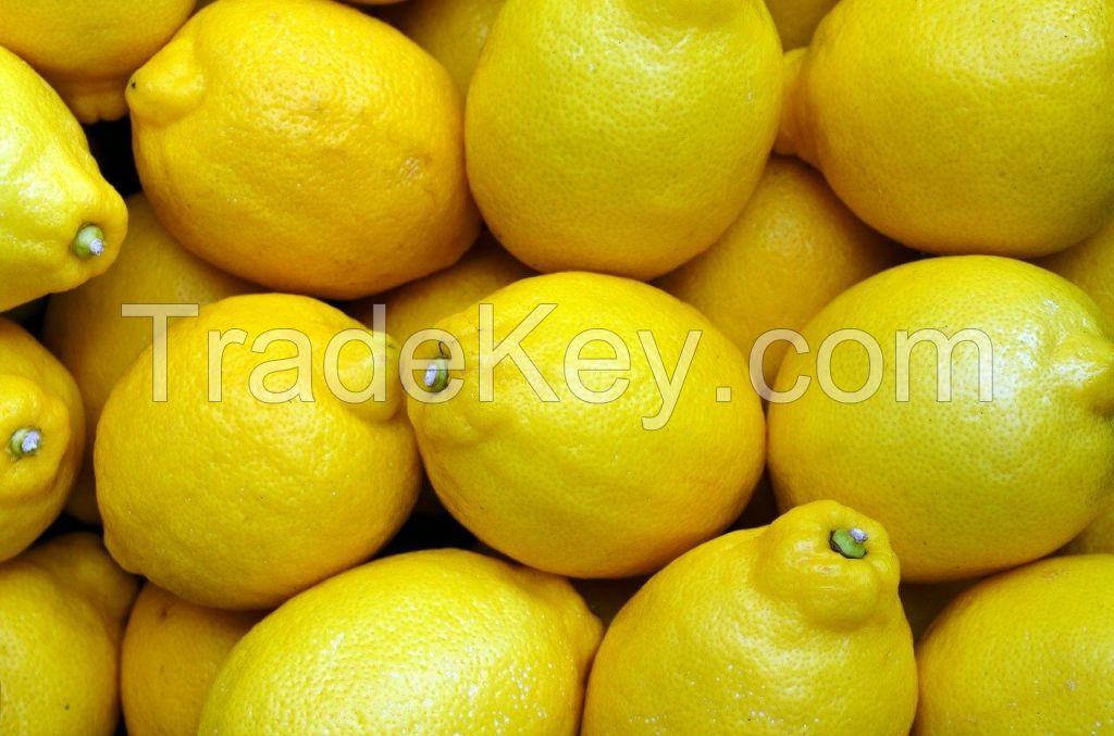 Fresh Lemon, Fresh Lime Fruit, Seedless Lime