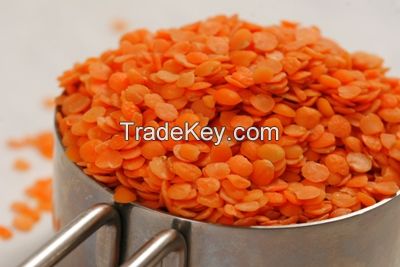 Red Lentils