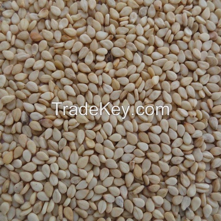 Quality  Organic Sesame Seeds Wholesale