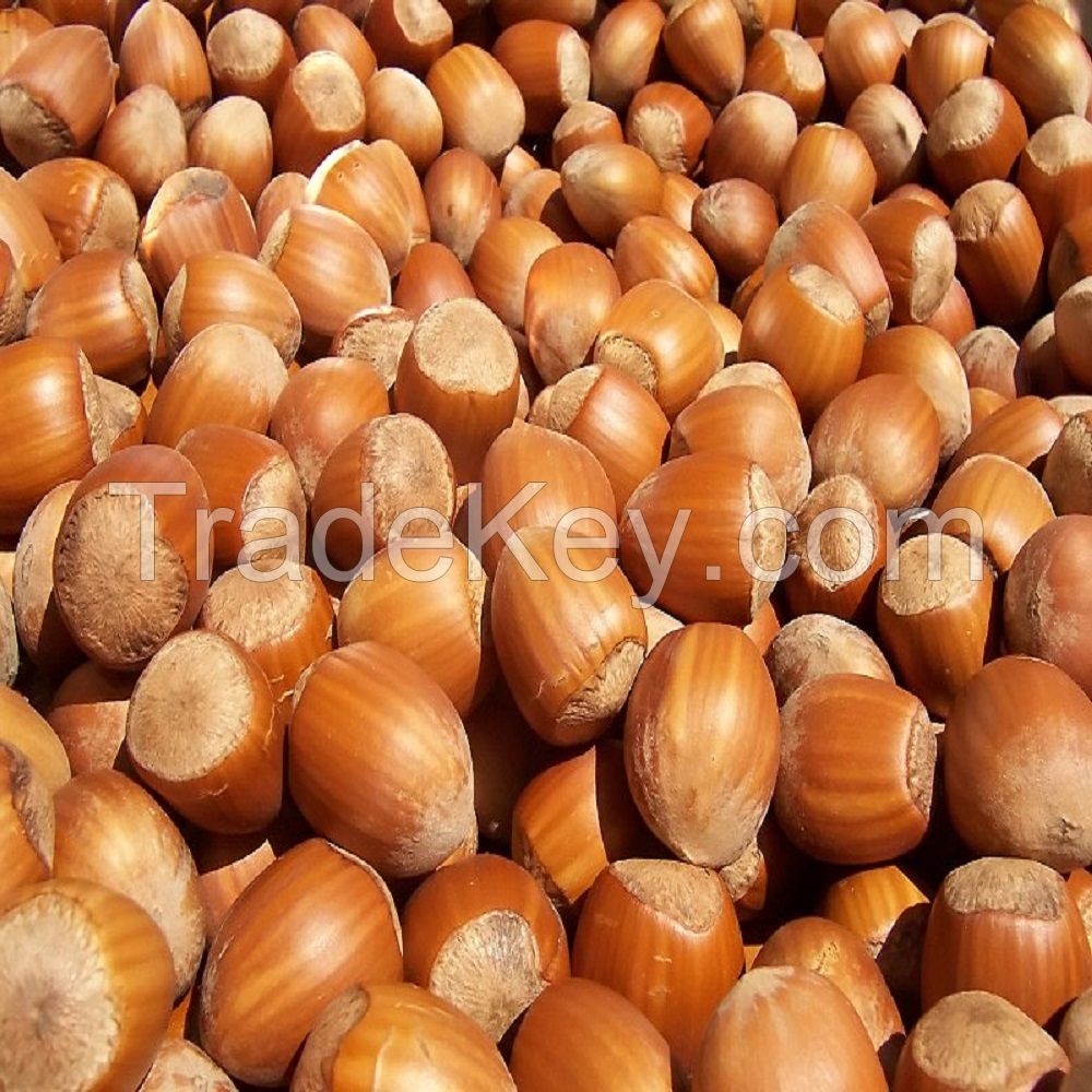 Blanched / Roasted Hazelnuts / Toasted / Hazelnut kernels Inshell / Organic Hazel Nuts