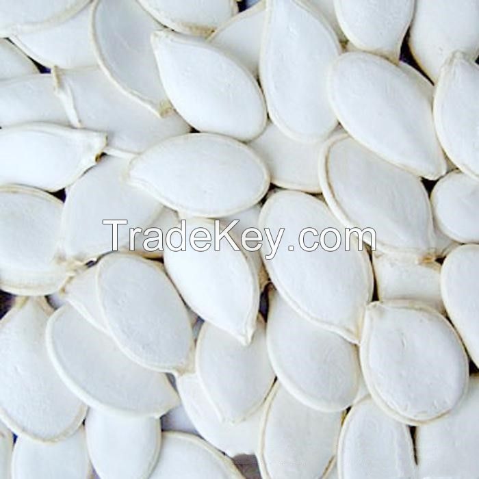 Best selling organic high quality pumpkin kernels /pumpkin seed