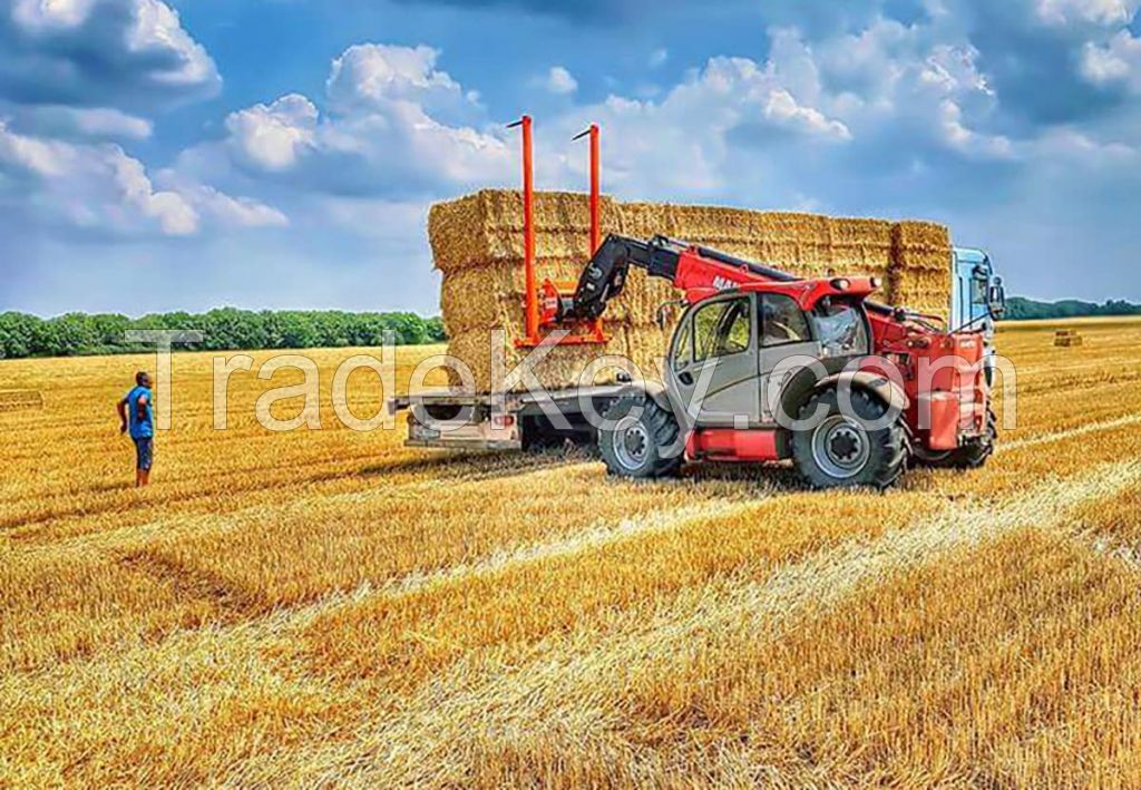 WHEAT STRAW, Alfalfa Bale, Wheat Straw Bale