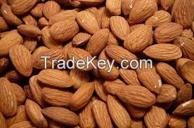 Almond Nuts (without shells)