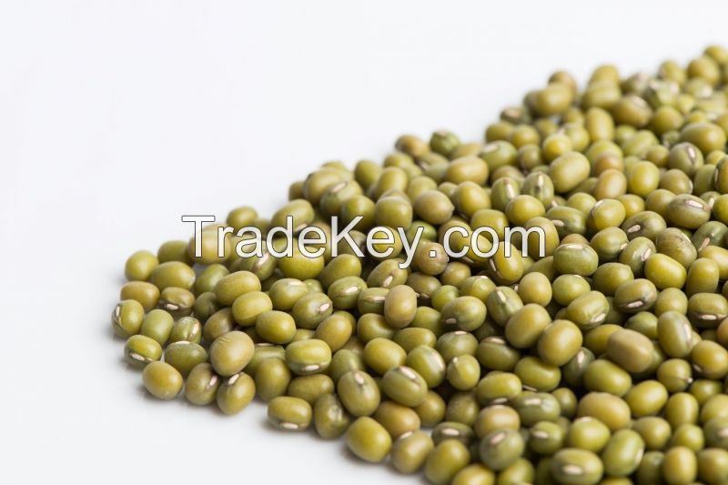 MUNG BEANS