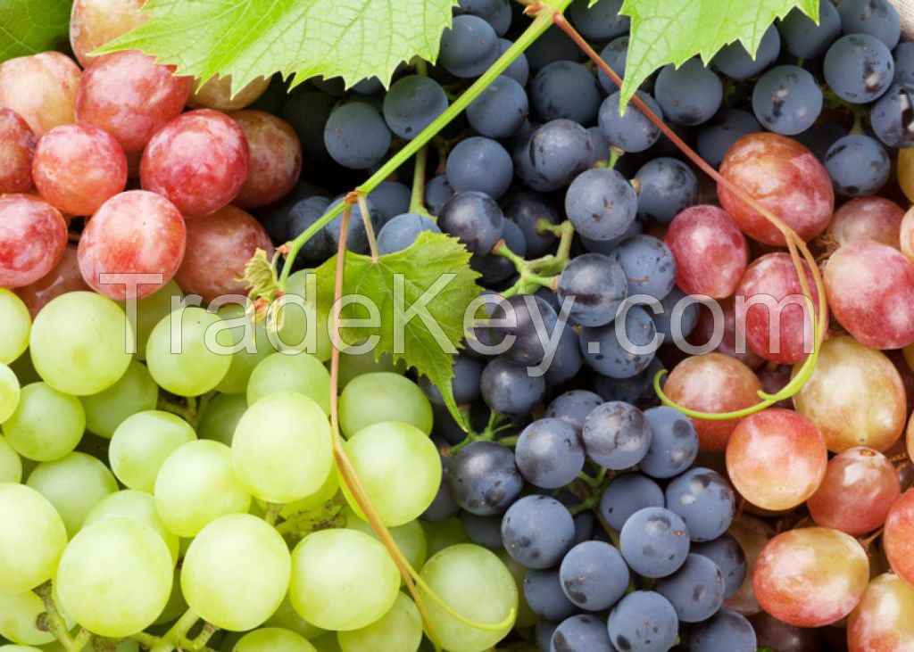 Seedless Sweet Fresh Grapes