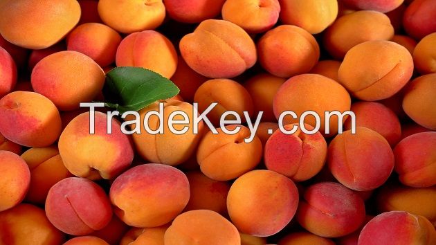 SOUTH AFRICAN FRESH PEACHES FOR EXPORT./ FRESH PEACHES / FRESH NECTARINES CLASS 1 (CAT 1) PREMIUM QUALITY FOR SALE