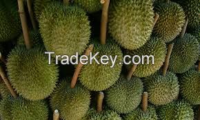 FRESH DURIAN FOR SALE