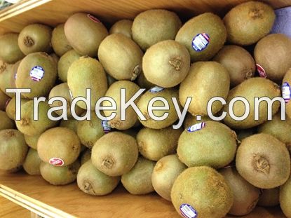 WHOLESALE FRESH KIWI / KIWI FRUIT FOR SALE / GOOD PRICE QUALITY FRESH KIWI FRUITS