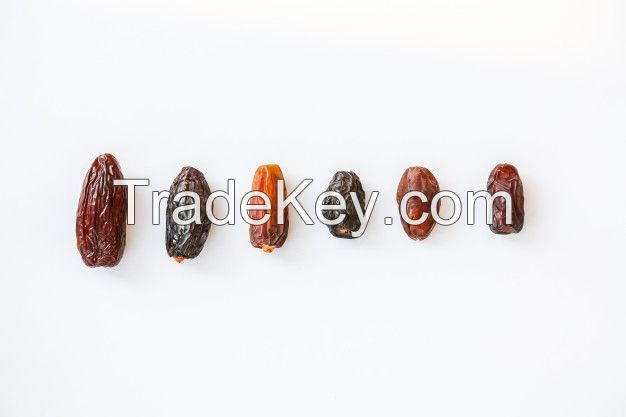 FRESH DATES FOR SALE