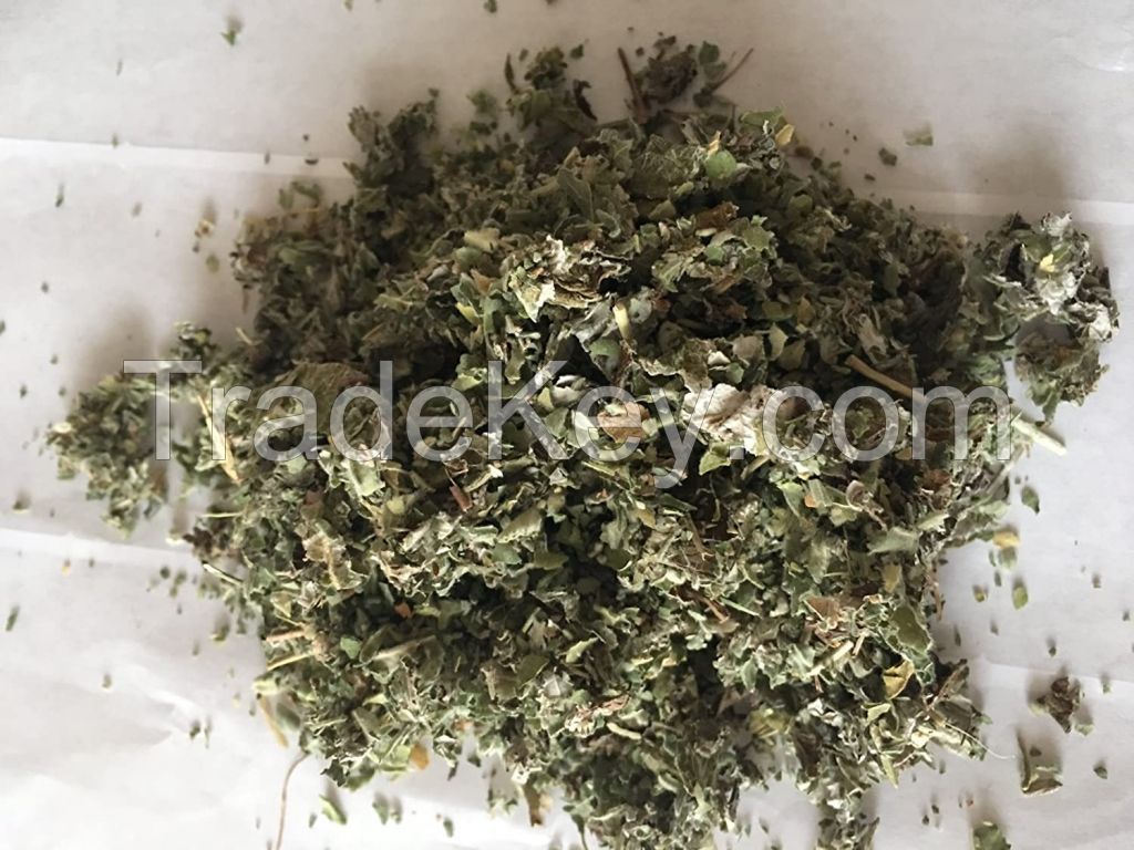 NATURAL HERBAL CIGARETTES RAW MATERIALS- DRIED MARSHMALLOW LEAVES