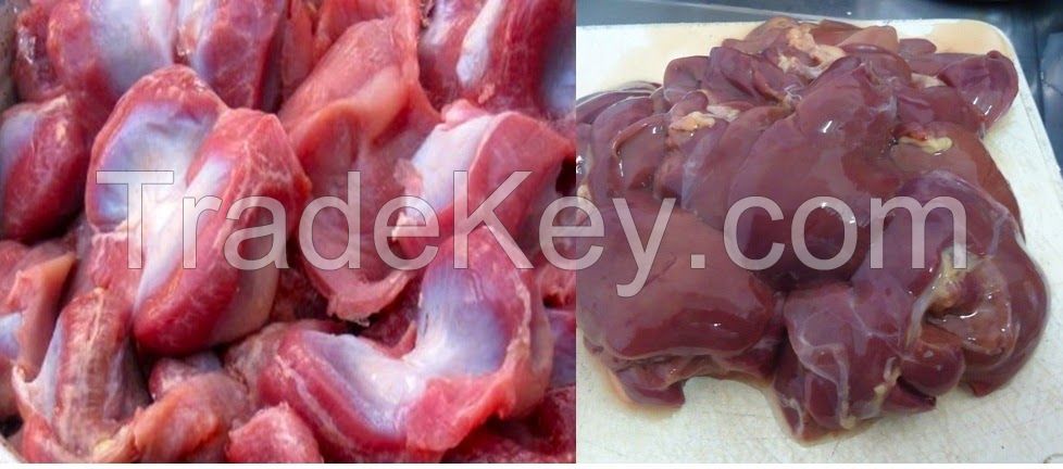 CHICKEN LIVER AND GIZZARD BRAZIL CHICKEN GIZZARD FROM SOUTH AFRICA HALAL FROZEN CHICKEN GIZZARD