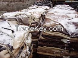 Wholesale private label best raw wet salted cattle hides