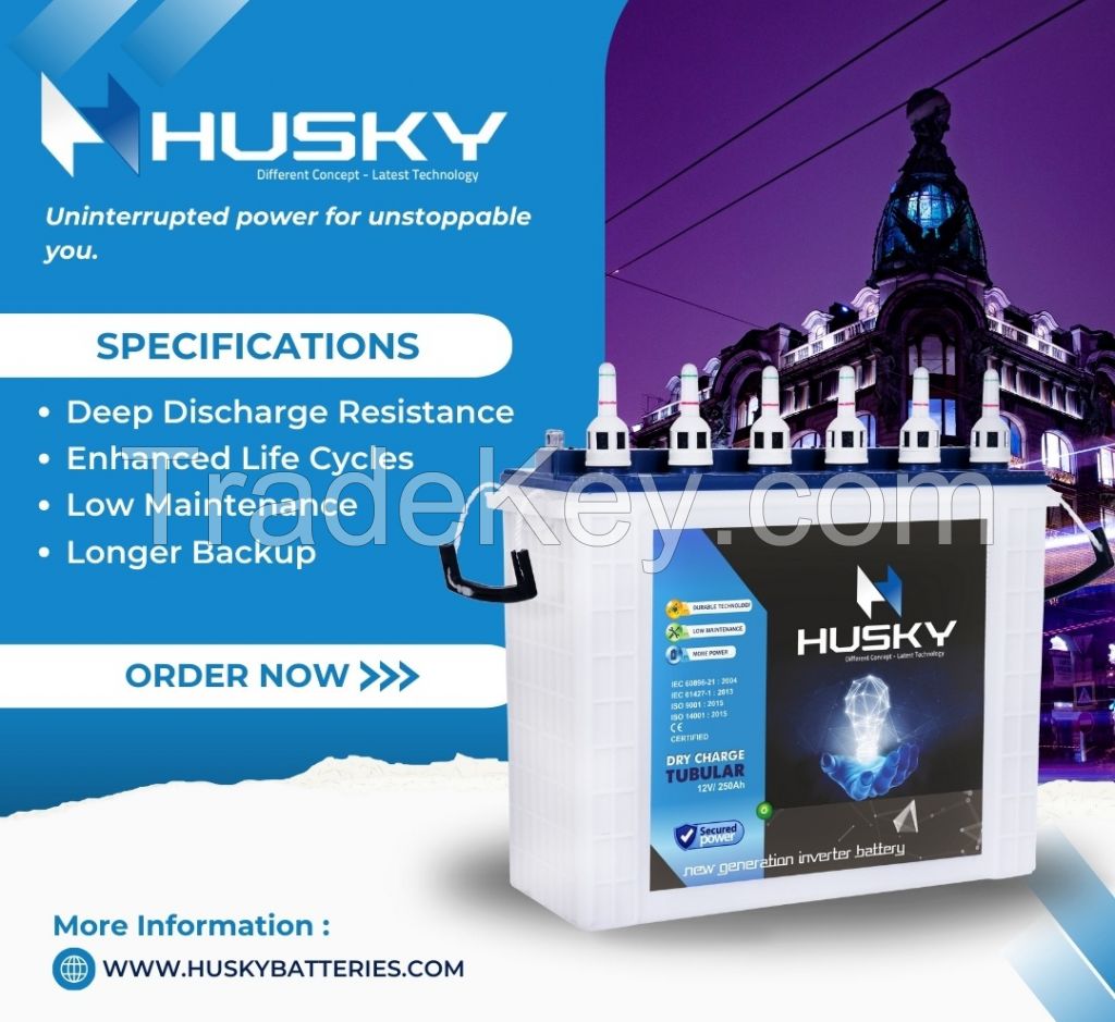 HUSKY TALL TUBULAR BATTERY