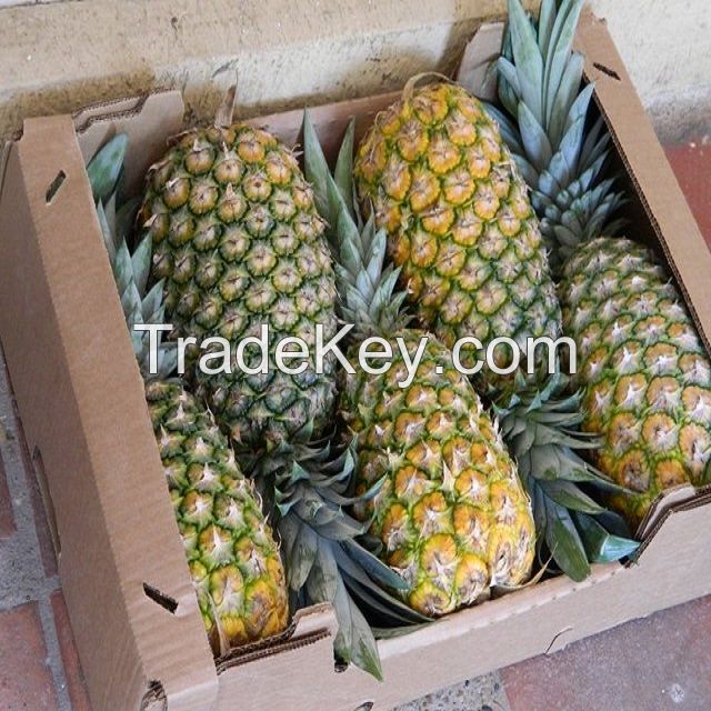 pineapples fruits