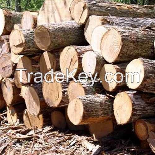 padouk wood sale
