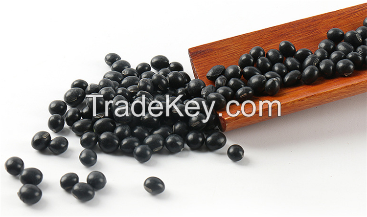 black kidney beans for sale