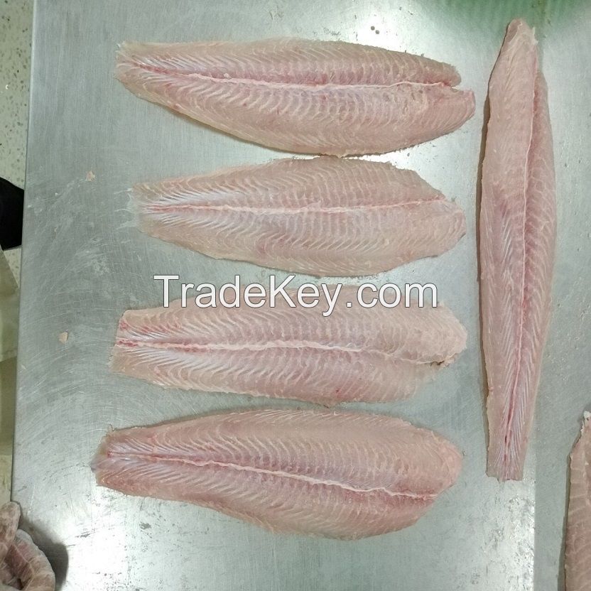 Pangasius Semi-trimmed Fillet for sale