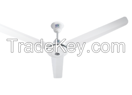 Economy Ceiling Fan ( Pak Fans)