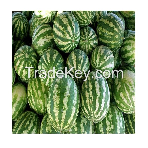 Watermelon Natural Royal Fresh Watermelon Fruit For Sale Fresh Water Melon