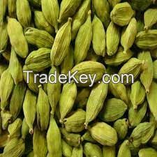 Green Cardamom